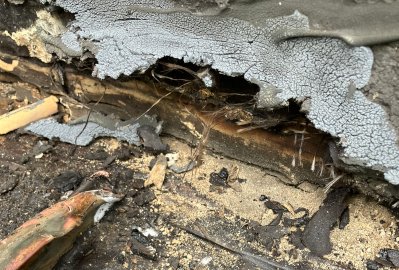 Roof tar removal