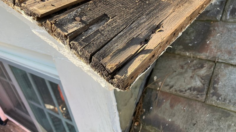 water damage from face nailing copper